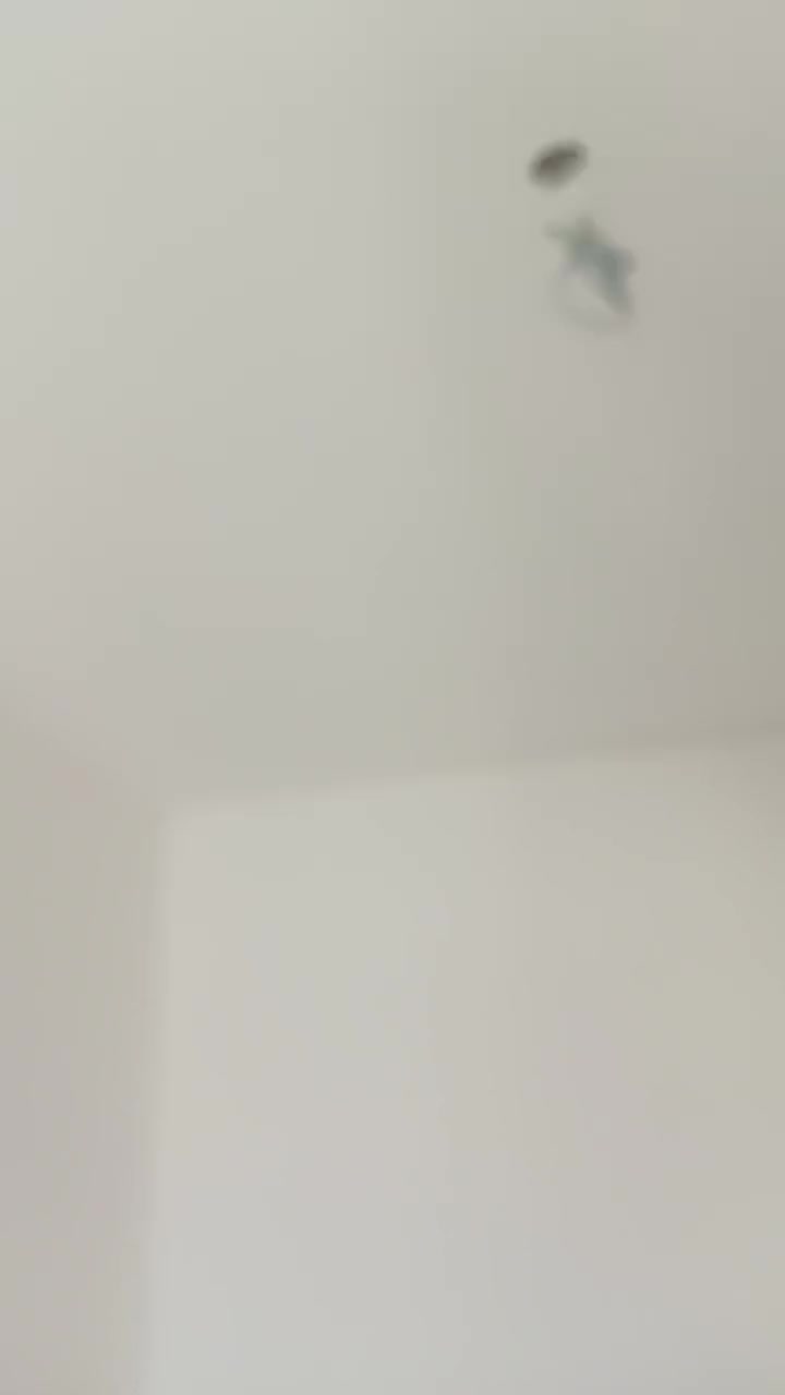 评价上传图